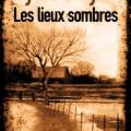 les-lieux-sombres-gillian-flynn